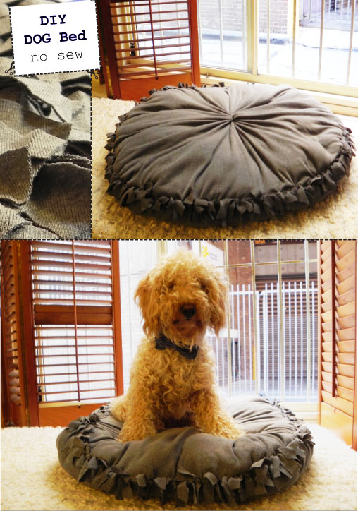 DIY dog bed