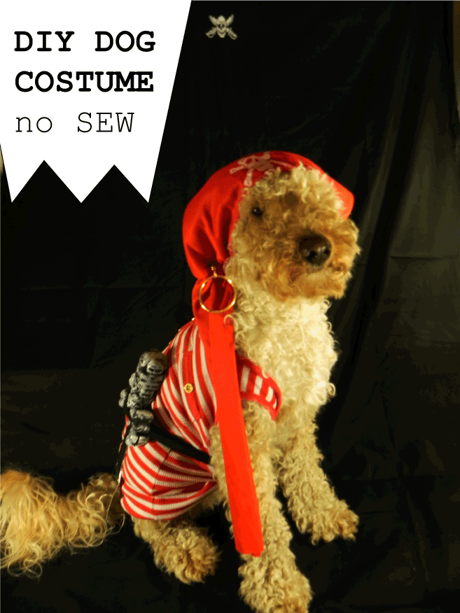 DIY dog costume – No sew ! – luigi &amp; me